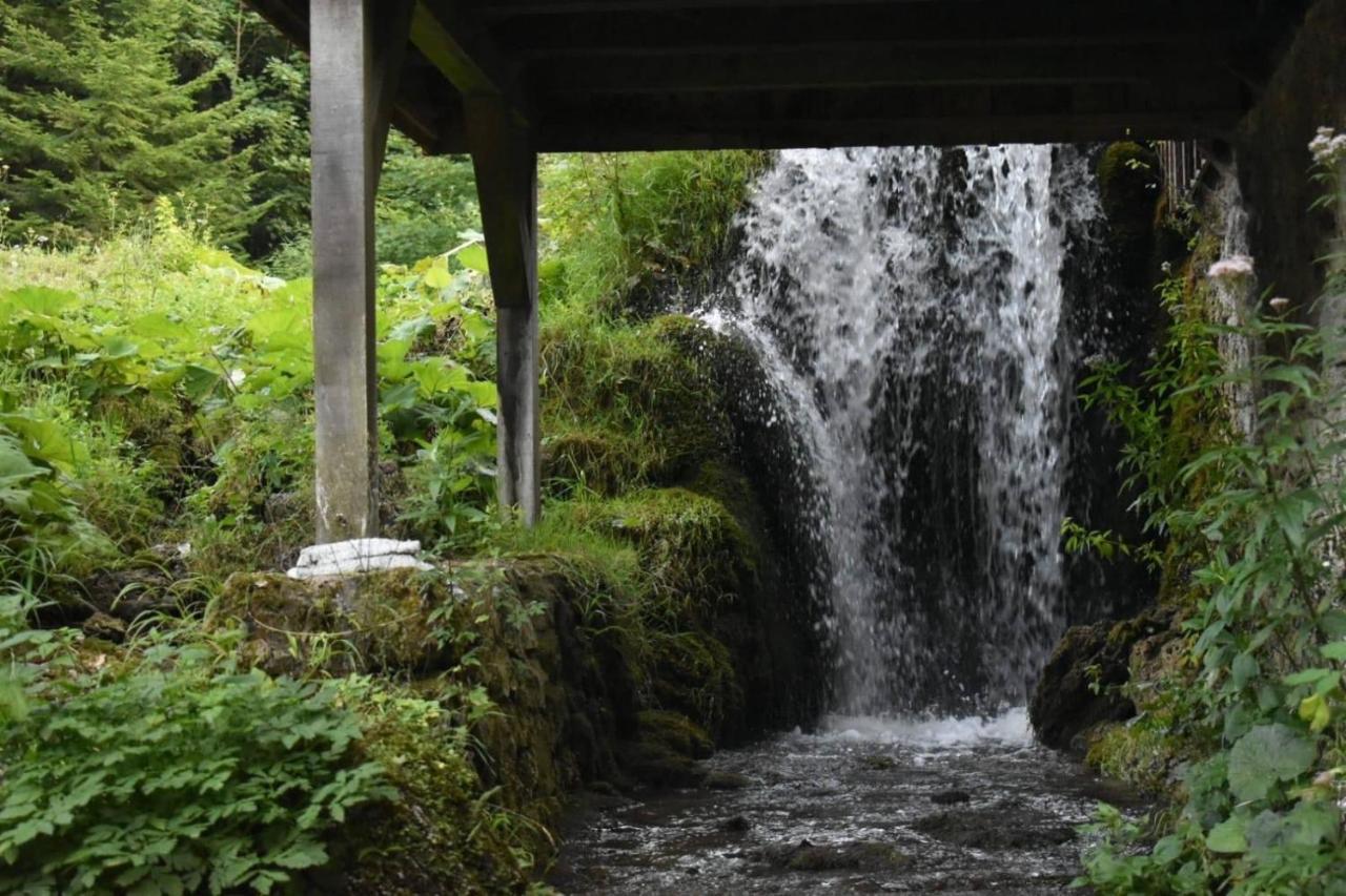 Wooden House With A Waterfall "Stipanov Mlin" Βίλα Plitvička Jezera Εξωτερικό φωτογραφία